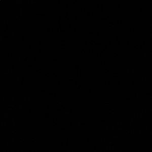 Meet your Posher, Isabella